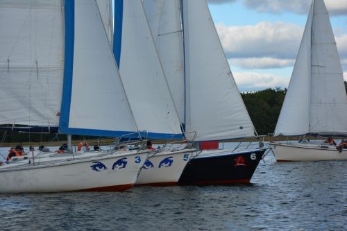 Bezpłatne Warsztaty Żeglarskie  Osób Niepełnosprawnych