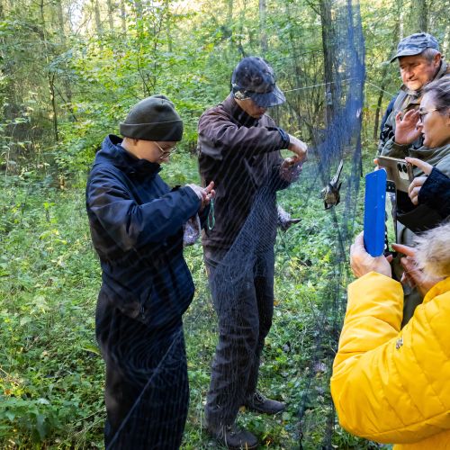 Mazurski Piknik Ornitologiczny 2025